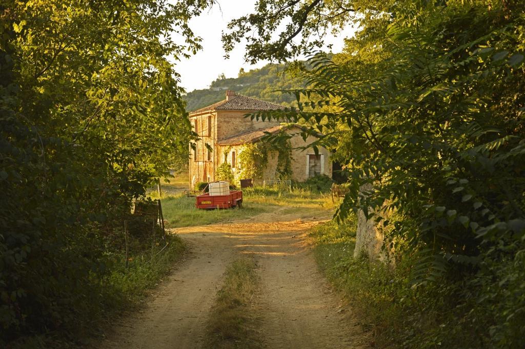 Agriturismo Cardito Santa Rufina Exterior foto