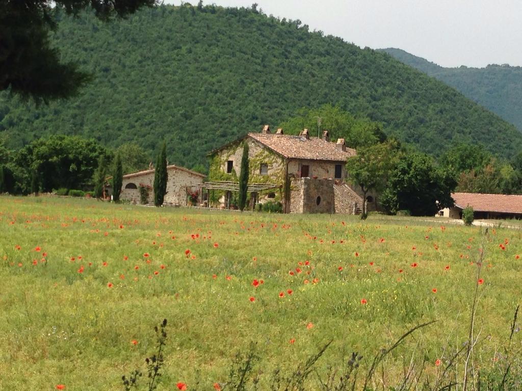 Agriturismo Cardito Santa Rufina Exterior foto