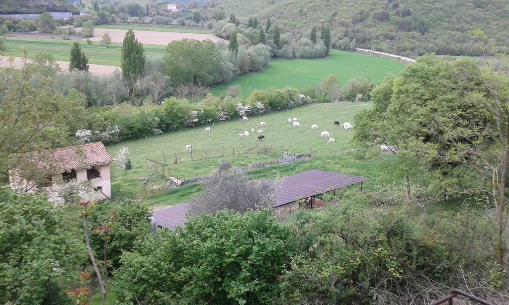 Agriturismo Cardito Santa Rufina Exterior foto