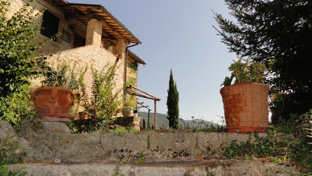 Agriturismo Cardito Santa Rufina Exterior foto